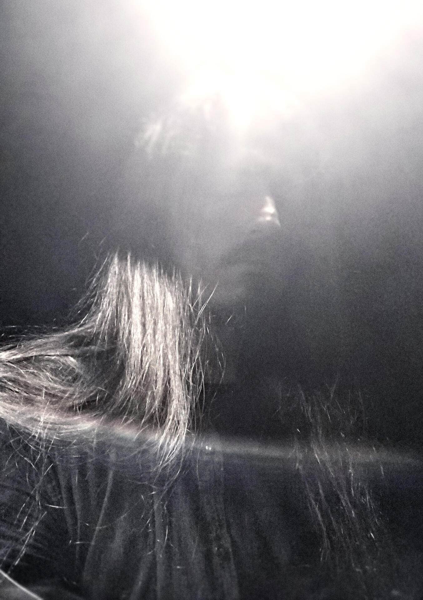 NSFW Art of Skyldfri